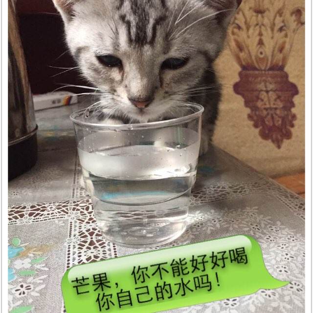 日本金泽星棱大学成绩单电子图
